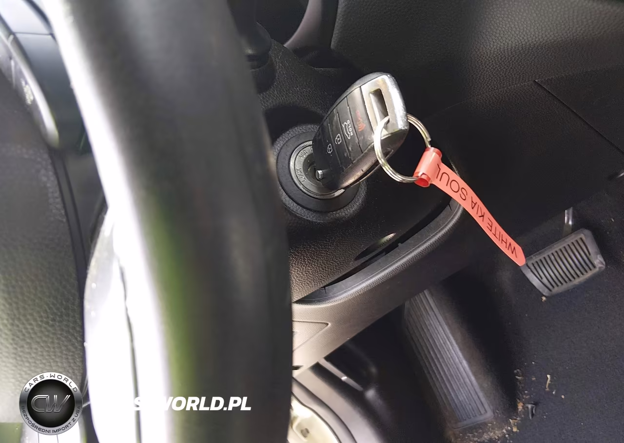 2016 Kia Soul VIN:KNDJN2A25G7325018 - 11