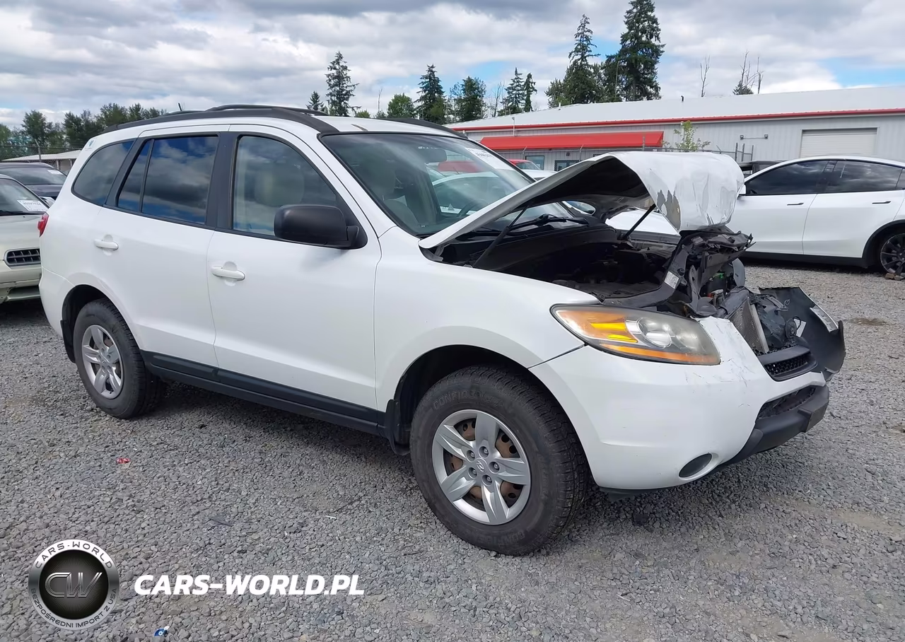 2009 Hyundai Santa Fe Gls