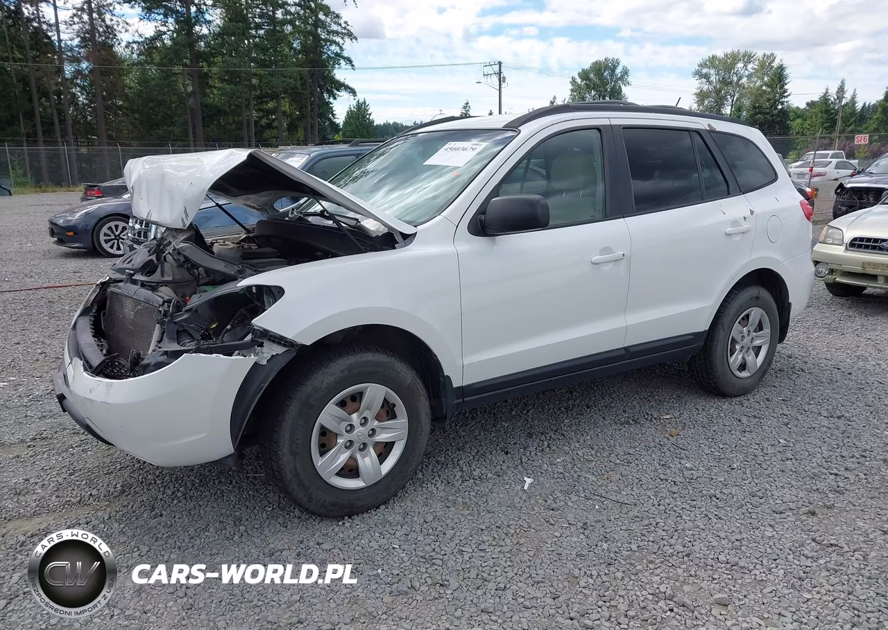 2009 Hyundai Santa Fe Gls VIN:5NMSG73D49H279218 - 2