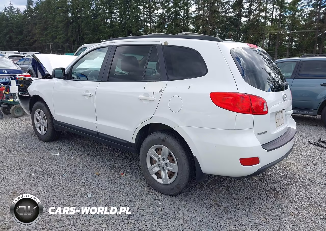 2009 Hyundai Santa Fe Gls VIN:5NMSG73D49H279218 - 3