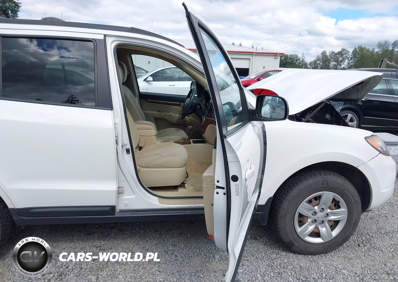 2009 Hyundai Santa Fe Gls VIN:5NMSG73D49H279218 - 5