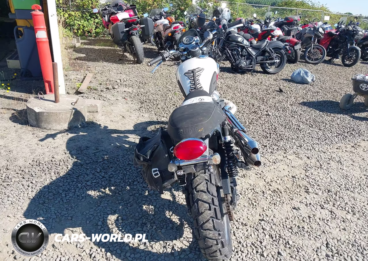 2006 Triumph Motorcycle Scrambler VIN:SMT925RNX6J263243 - 6