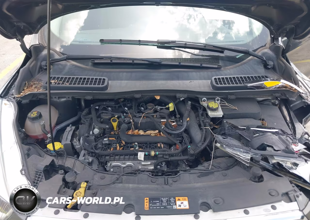 2019 Ford Escape Se VIN:1FMCU0GDXKUC21090 - 10