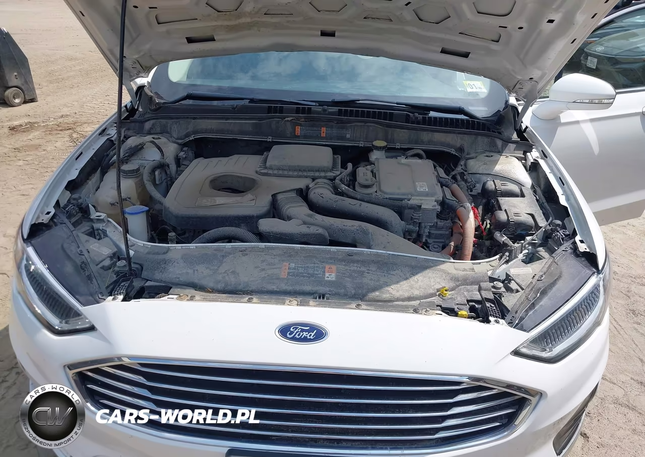 2019 Ford Fusion Hybrid Sel VIN:3FA6P0MU9KR113067 - 10