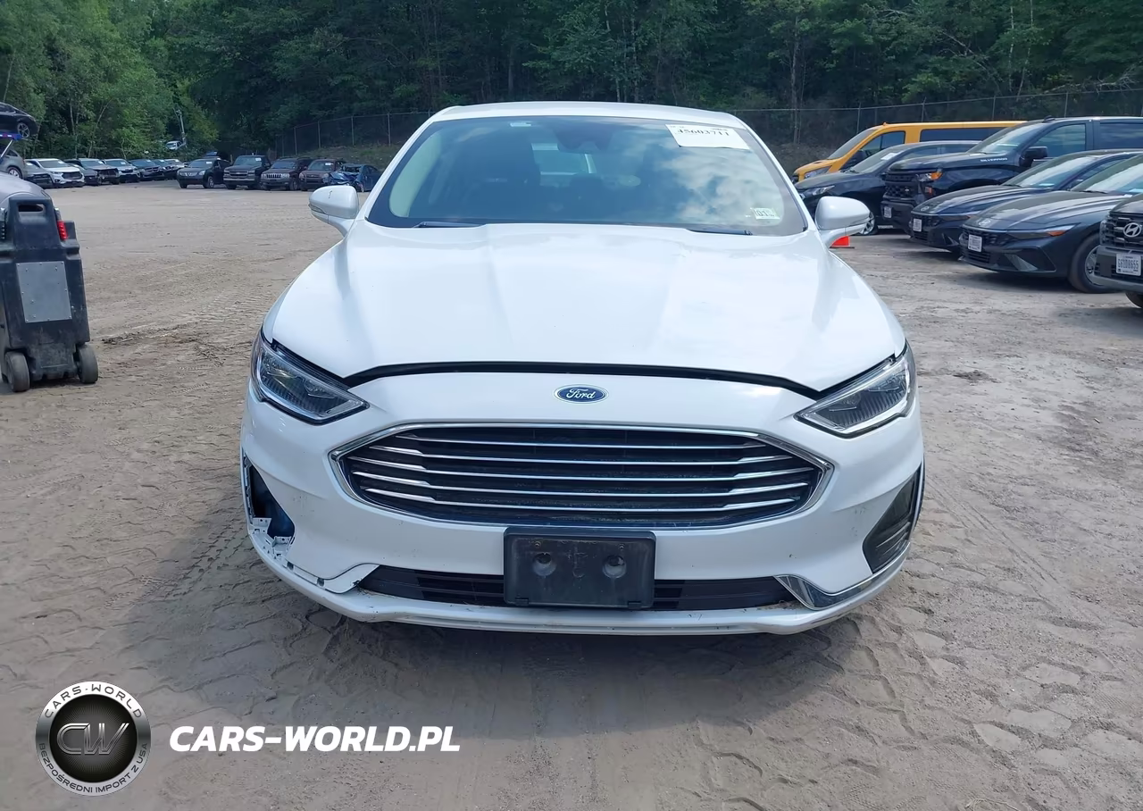 2019 Ford Fusion Hybrid Sel VIN:3FA6P0MU9KR113067 - 12