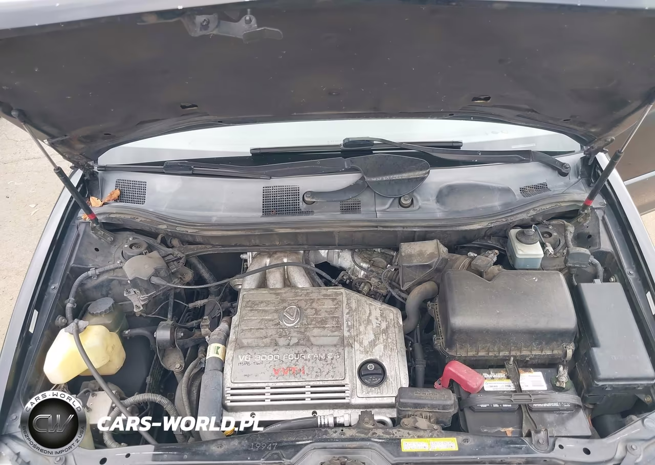 2000 Lexus Rx 300 VIN:JT6GF10U8Y0057233 - 10