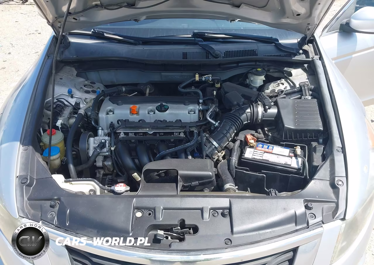 2010 Honda Accord 2.4 Lx VIN:1HGCP2F38AA193260 - 10