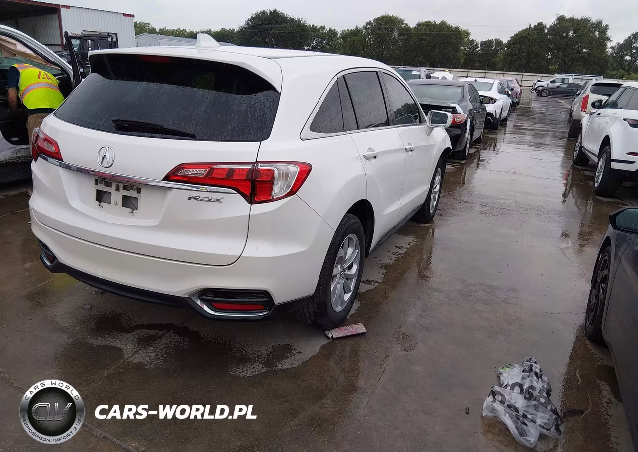 2017 Acura Rdx Acurawatch Plus Package VIN:5J8TB3H30HL002690 - 4