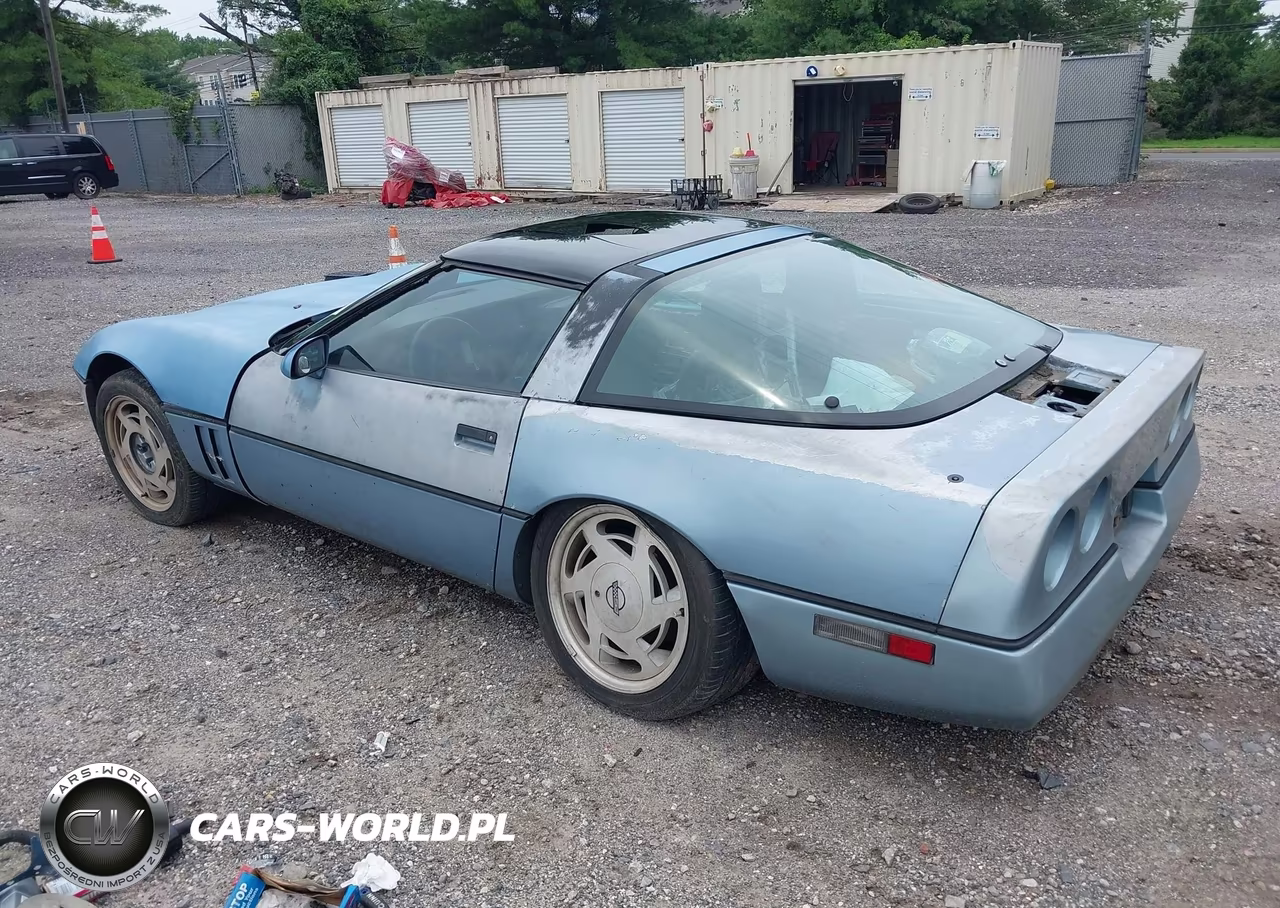1985 Chevrolet Corvette VIN:1G1YY0782F5100547 - 3