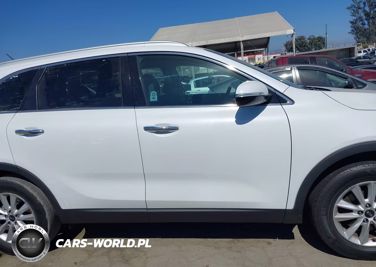2020 Kia Sorento 2.4L Lx VIN:5XYPG4A35LG677733 - 13