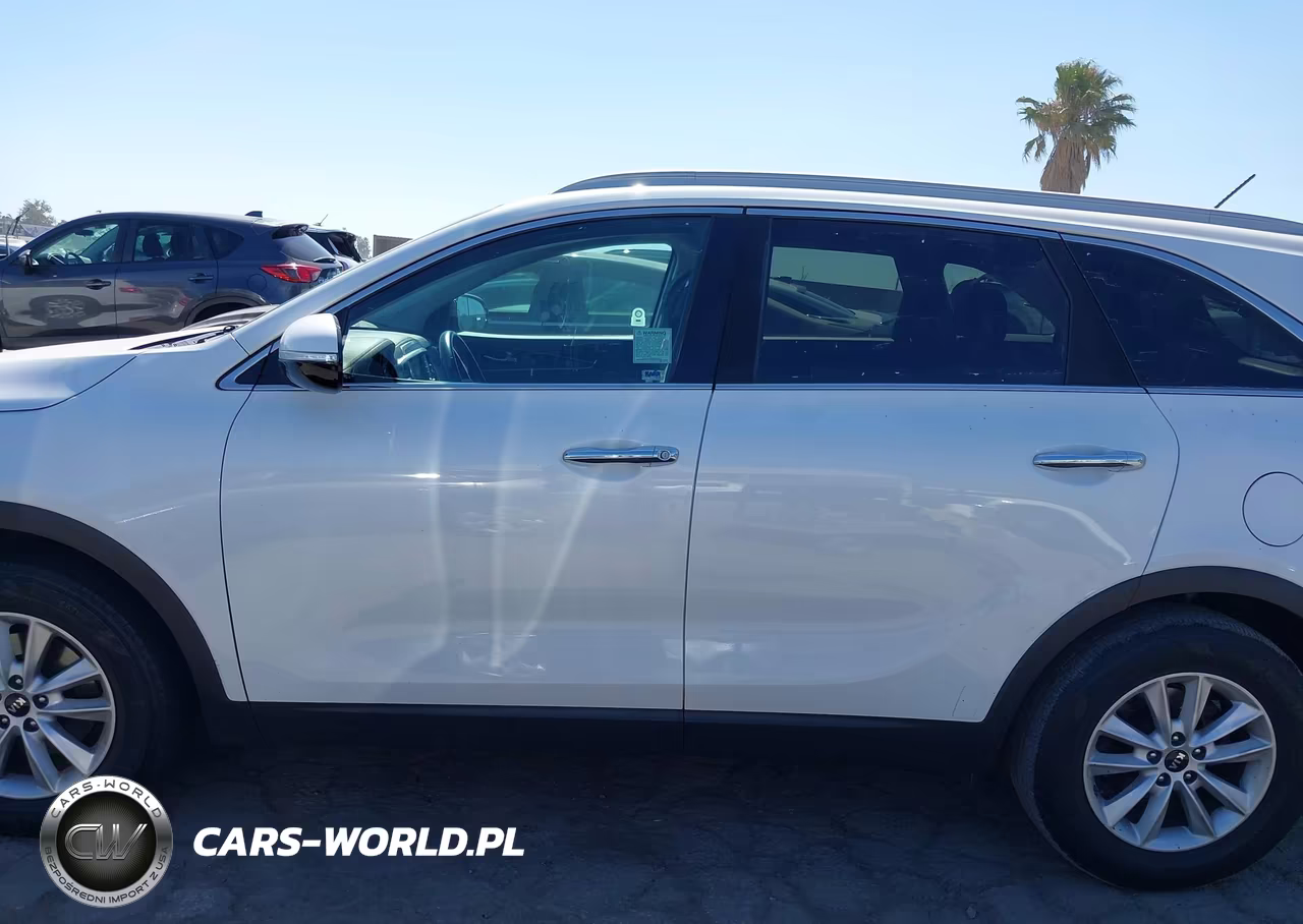 2020 Kia Sorento 2.4L Lx VIN:5XYPG4A35LG677733 - 14