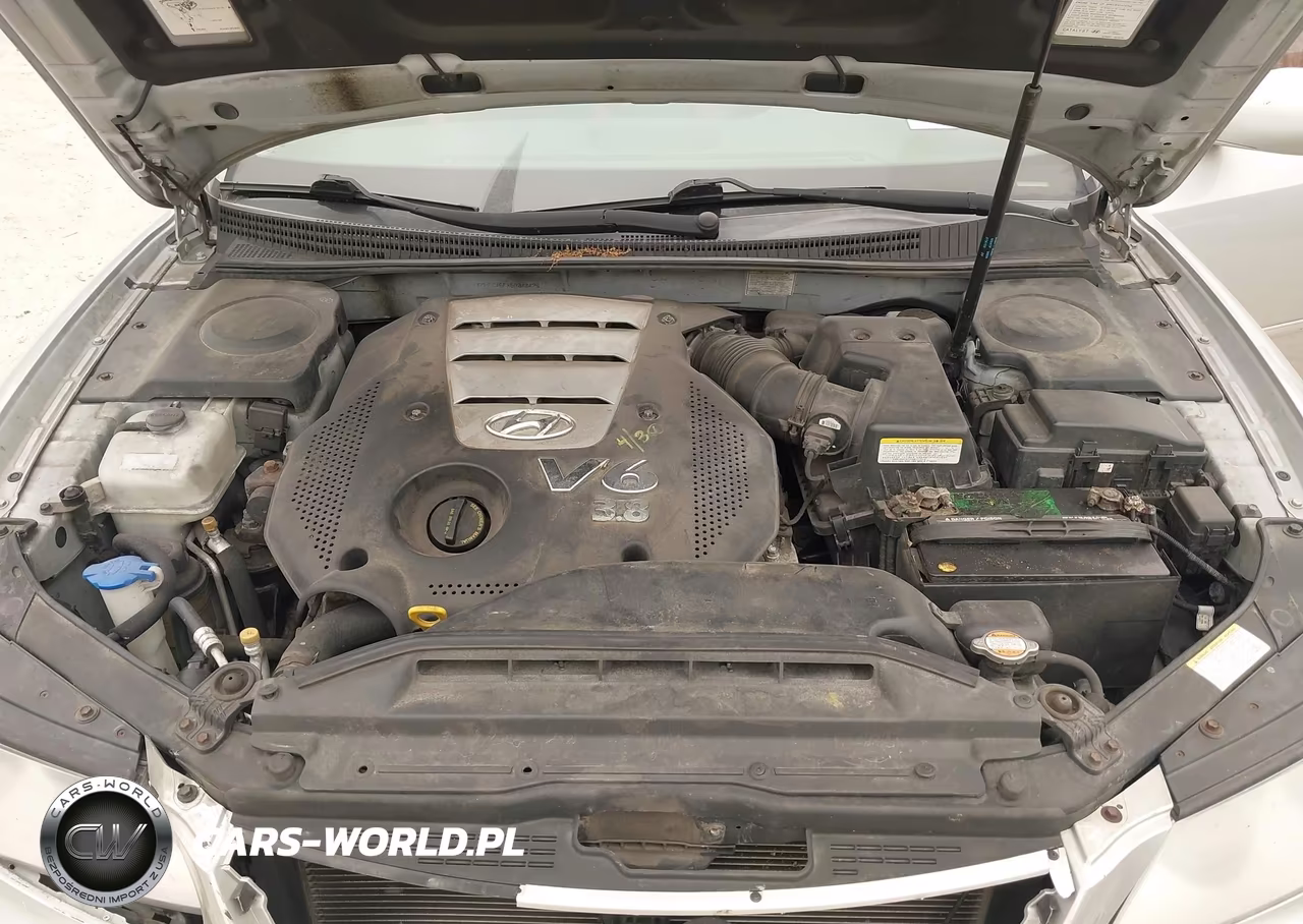 2006 Hyundai Azera Limited-Se VIN:KMHFC46FX6A040475 - 10