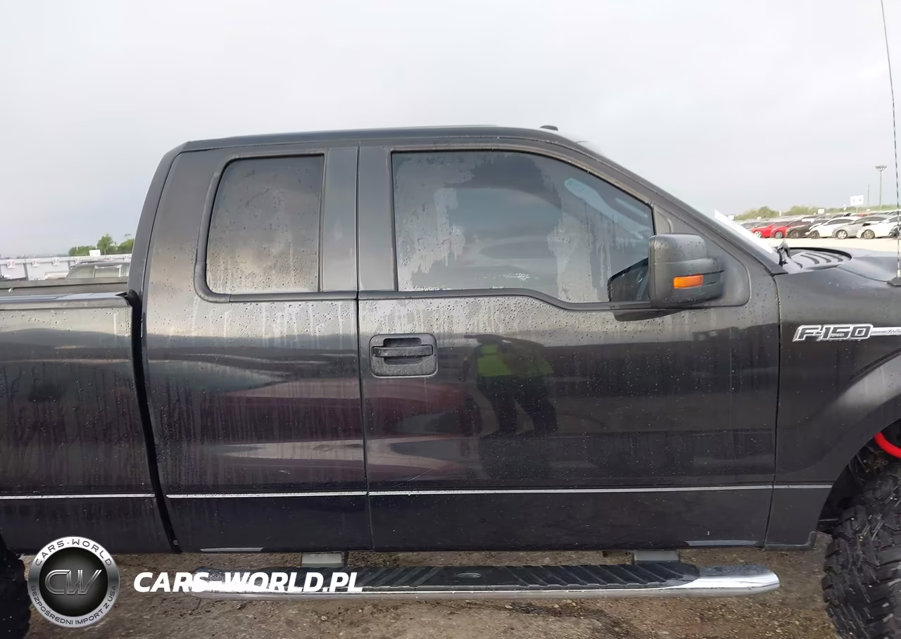 2010 Ford F-150 Stx-Xl-Xlt VIN:1FTEX1E84AKA66868 - 13