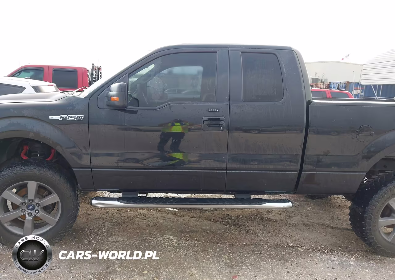2010 Ford F-150 Stx-Xl-Xlt VIN:1FTEX1E84AKA66868 - 14