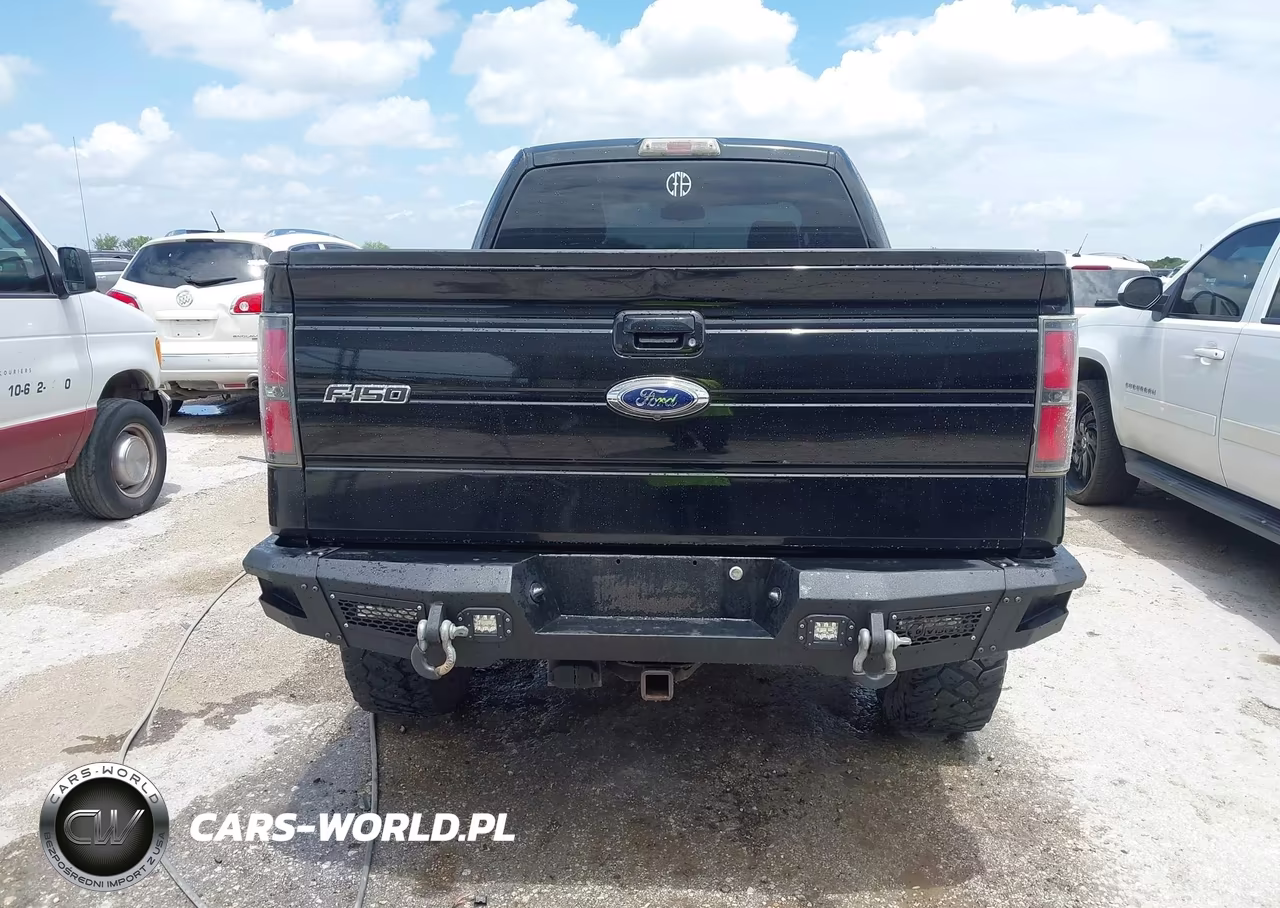 2010 Ford F-150 Stx-Xl-Xlt VIN:1FTEX1E84AKA66868 - 16
