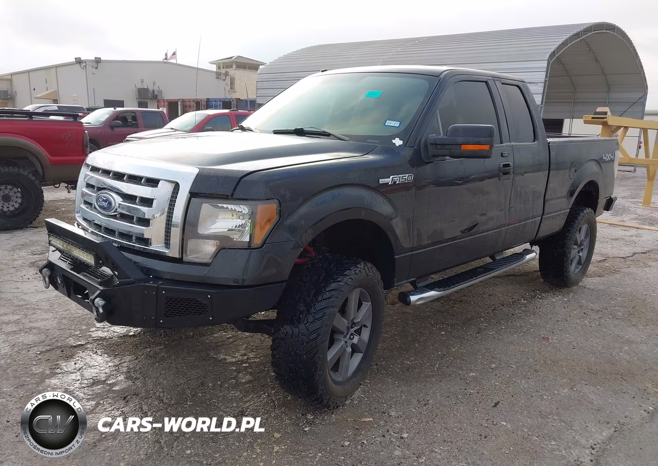 2010 Ford F-150 Stx-Xl-Xlt VIN:1FTEX1E84AKA66868 - 2