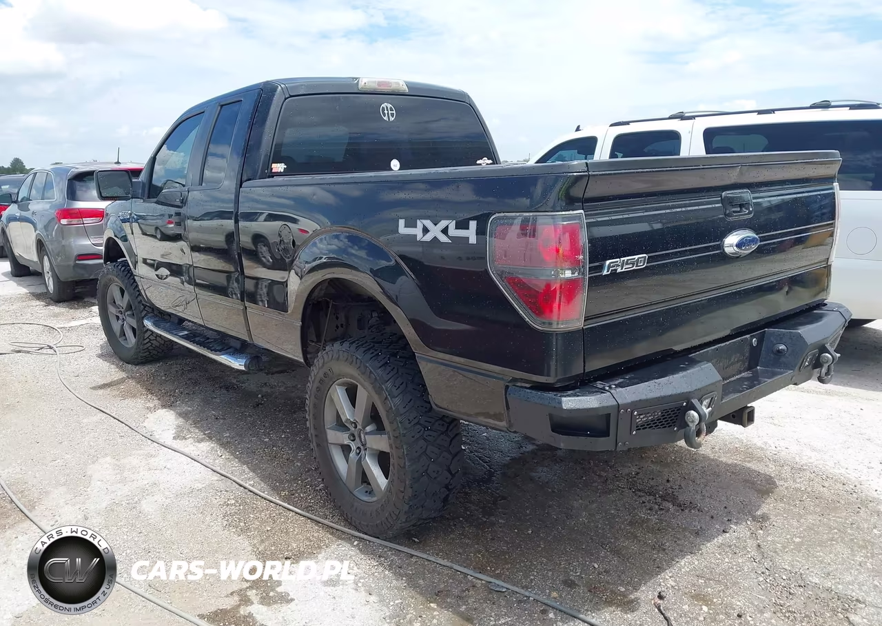 2010 Ford F-150 Stx-Xl-Xlt VIN:1FTEX1E84AKA66868 - 3