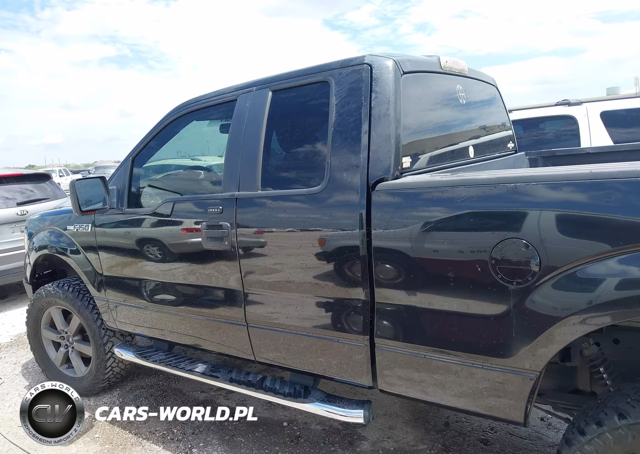 2010 Ford F-150 Stx-Xl-Xlt VIN:1FTEX1E84AKA66868 - 6
