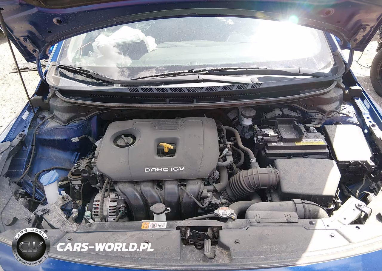 2017 Kia Forte S VIN:3KPFL4A72HE040619 - 10