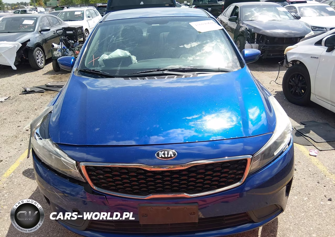 2017 Kia Forte S VIN:3KPFL4A72HE040619 - 12