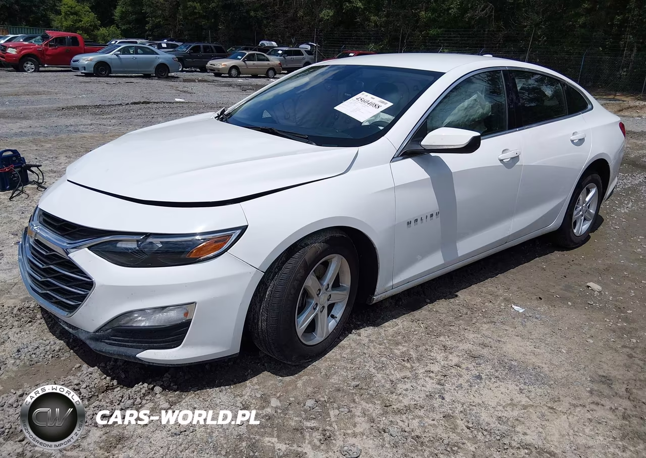 2023 Chevrolet Malibu Fwd 1Lt VIN:1G1ZD5ST3PF170398 - 2