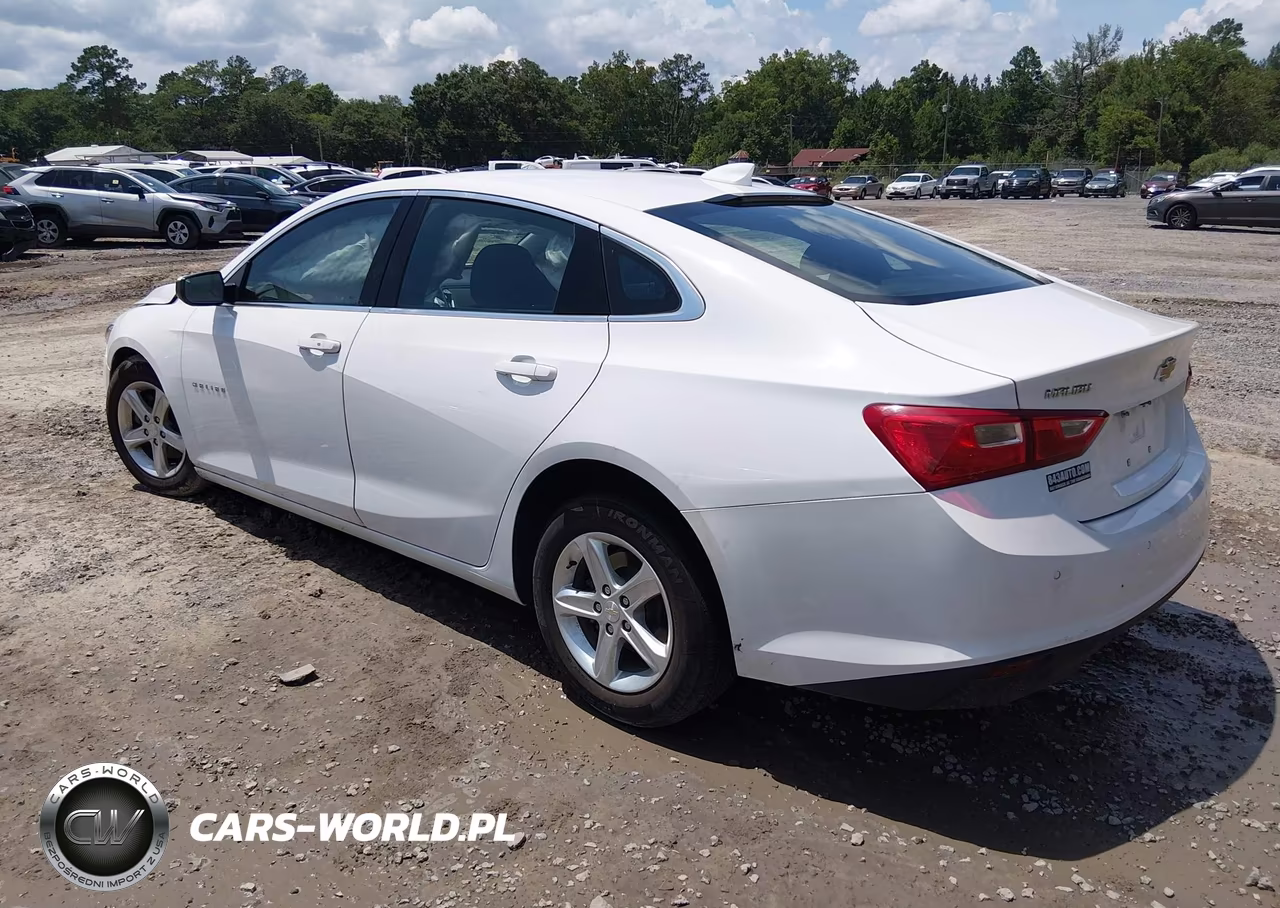 2023 Chevrolet Malibu Fwd 1Lt VIN:1G1ZD5ST3PF170398 - 3