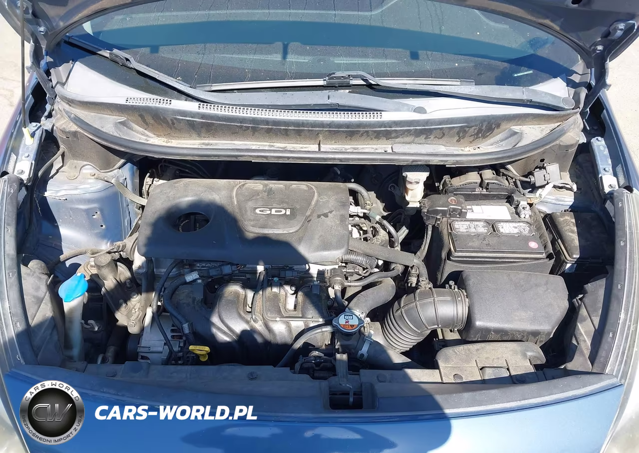 2016 Kia Rio Lx VIN:KNADM4A38G6539153 - 10