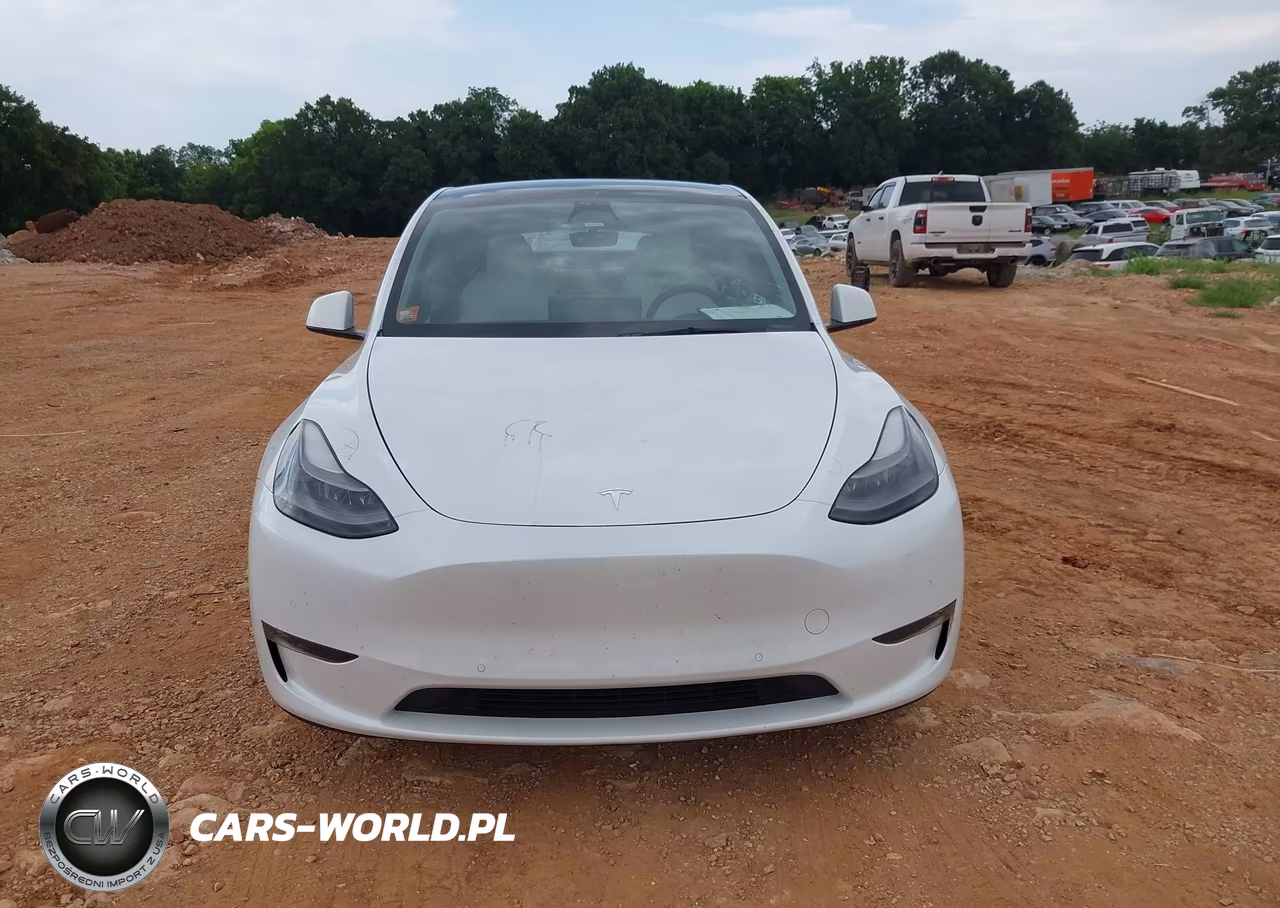 2021 Tesla Model Y Performance Dual Motor All-Wheel Drive VIN:5YJYGDEF4MF230179 - 12