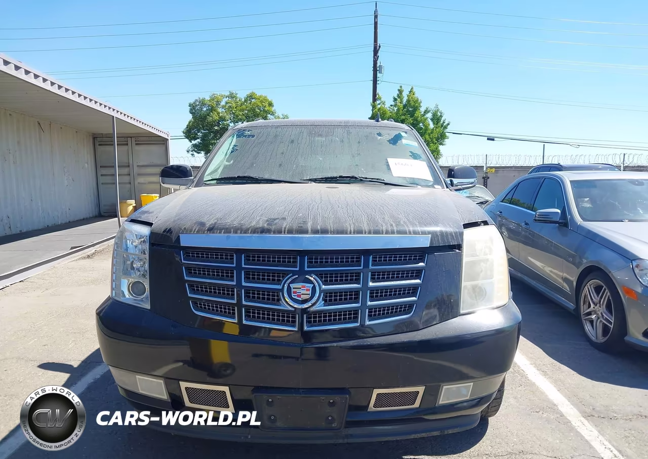 2009 Cadillac Escalade Esv Standard VIN:1GYFK26239R208286 - 12