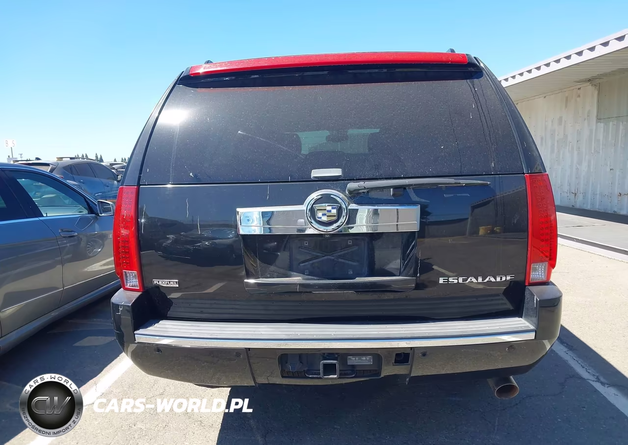 2009 Cadillac Escalade Esv Standard VIN:1GYFK26239R208286 - 16
