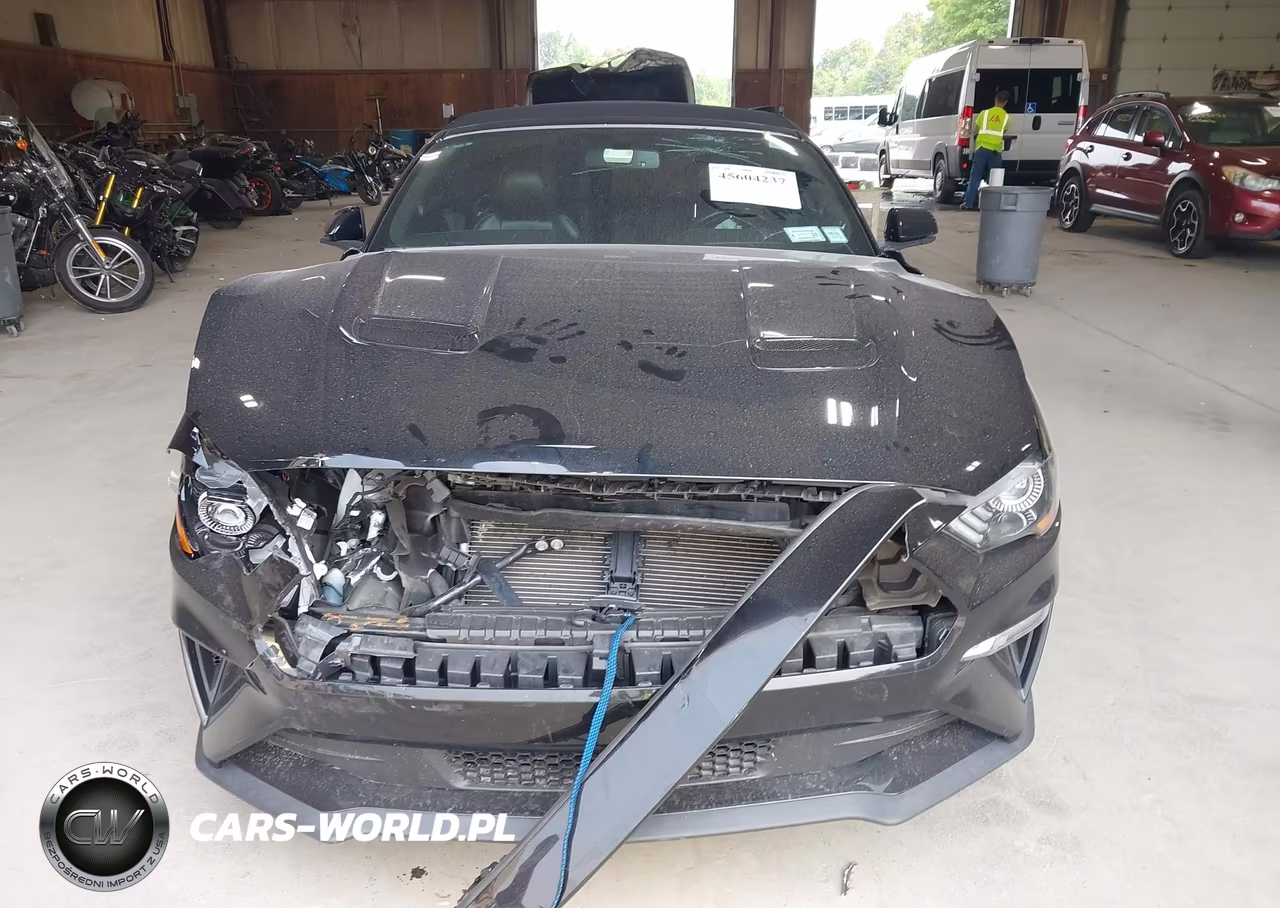 2019 Ford Mustang Gt Premium VIN:1FATP8FF5K5195303 - 12