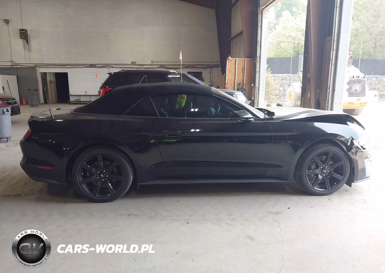 2019 Ford Mustang Gt Premium VIN:1FATP8FF5K5195303 - 13