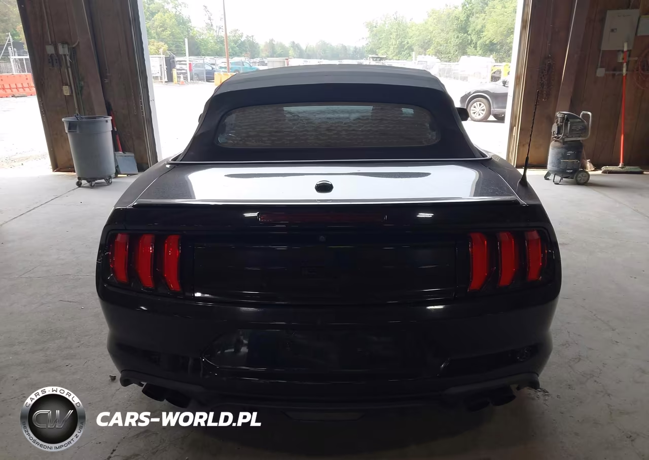 2019 Ford Mustang Gt Premium VIN:1FATP8FF5K5195303 - 16