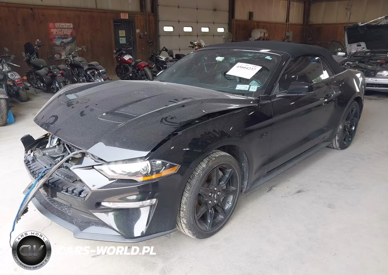 2019 Ford Mustang Gt Premium VIN:1FATP8FF5K5195303 - 2