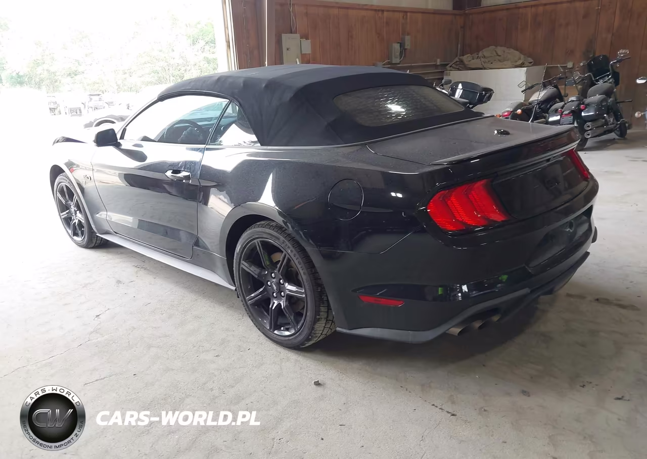 2019 Ford Mustang Gt Premium VIN:1FATP8FF5K5195303 - 3