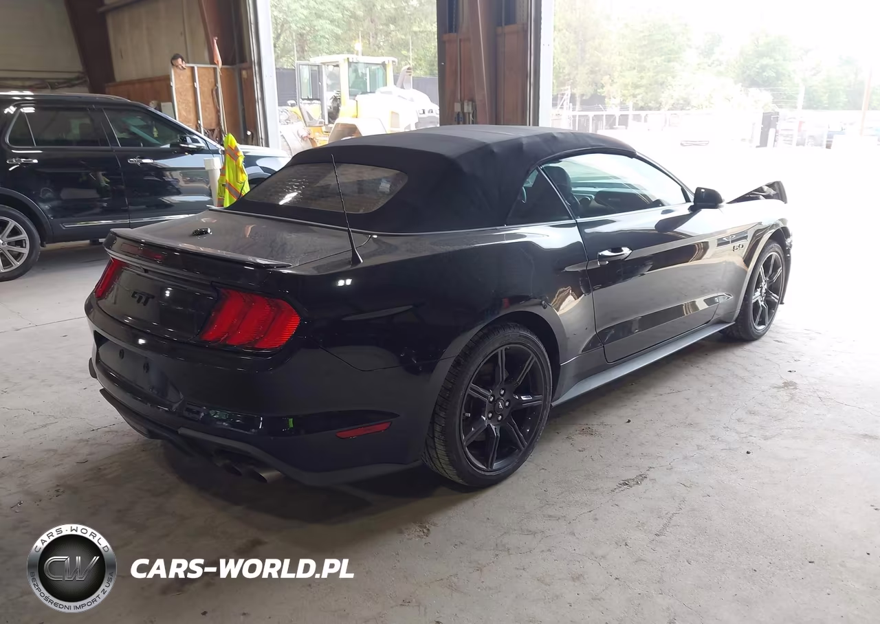 2019 Ford Mustang Gt Premium VIN:1FATP8FF5K5195303 - 4