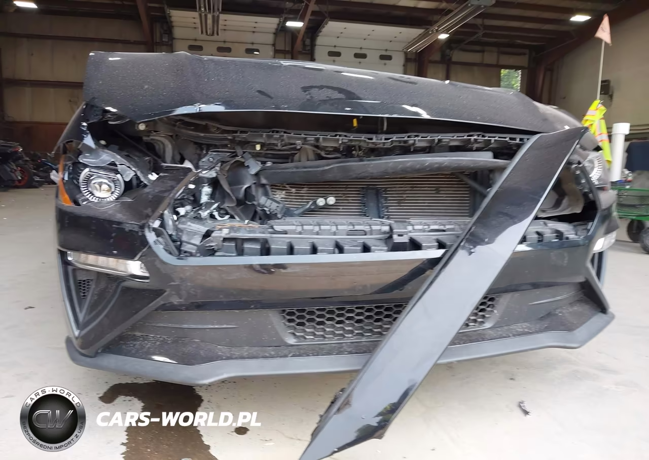 2019 Ford Mustang Gt Premium VIN:1FATP8FF5K5195303 - 6