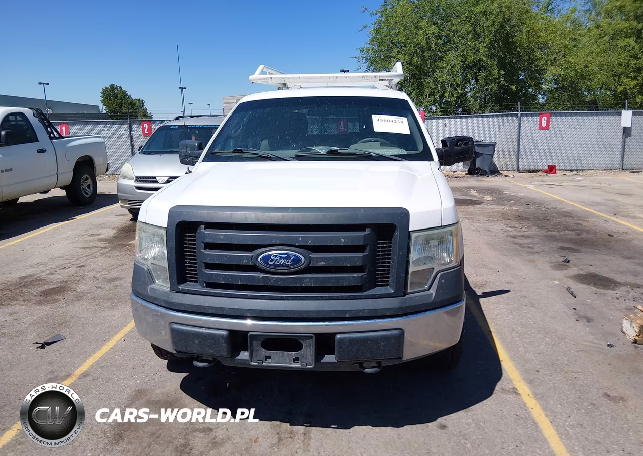 2010 Ford F-150 Xl-Xlt VIN:1FTFW1E82AFC91984 - 12