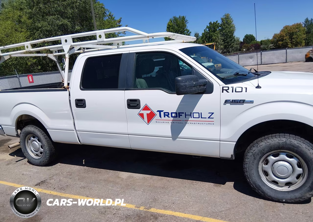 2010 Ford F-150 Xl-Xlt VIN:1FTFW1E82AFC91984 - 13