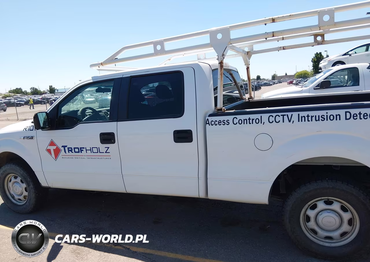 2010 Ford F-150 Xl-Xlt VIN:1FTFW1E82AFC91984 - 14