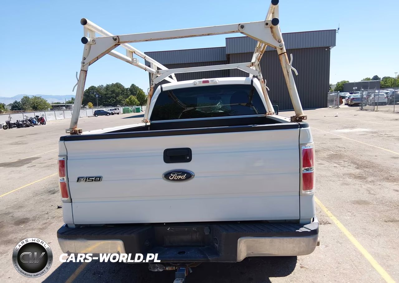 2010 Ford F-150 Xl-Xlt VIN:1FTFW1E82AFC91984 - 16