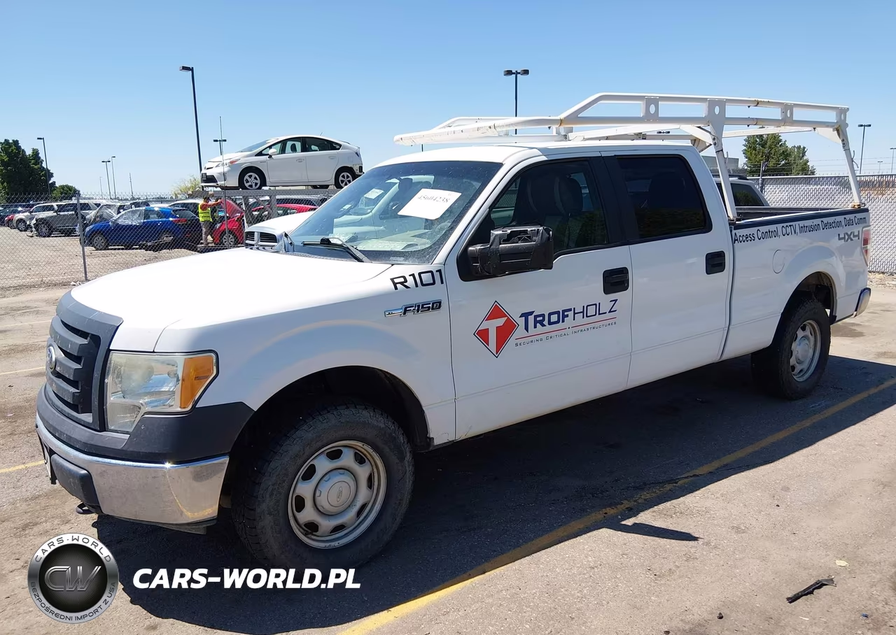 2010 Ford F-150 Xl-Xlt VIN:1FTFW1E82AFC91984 - 2