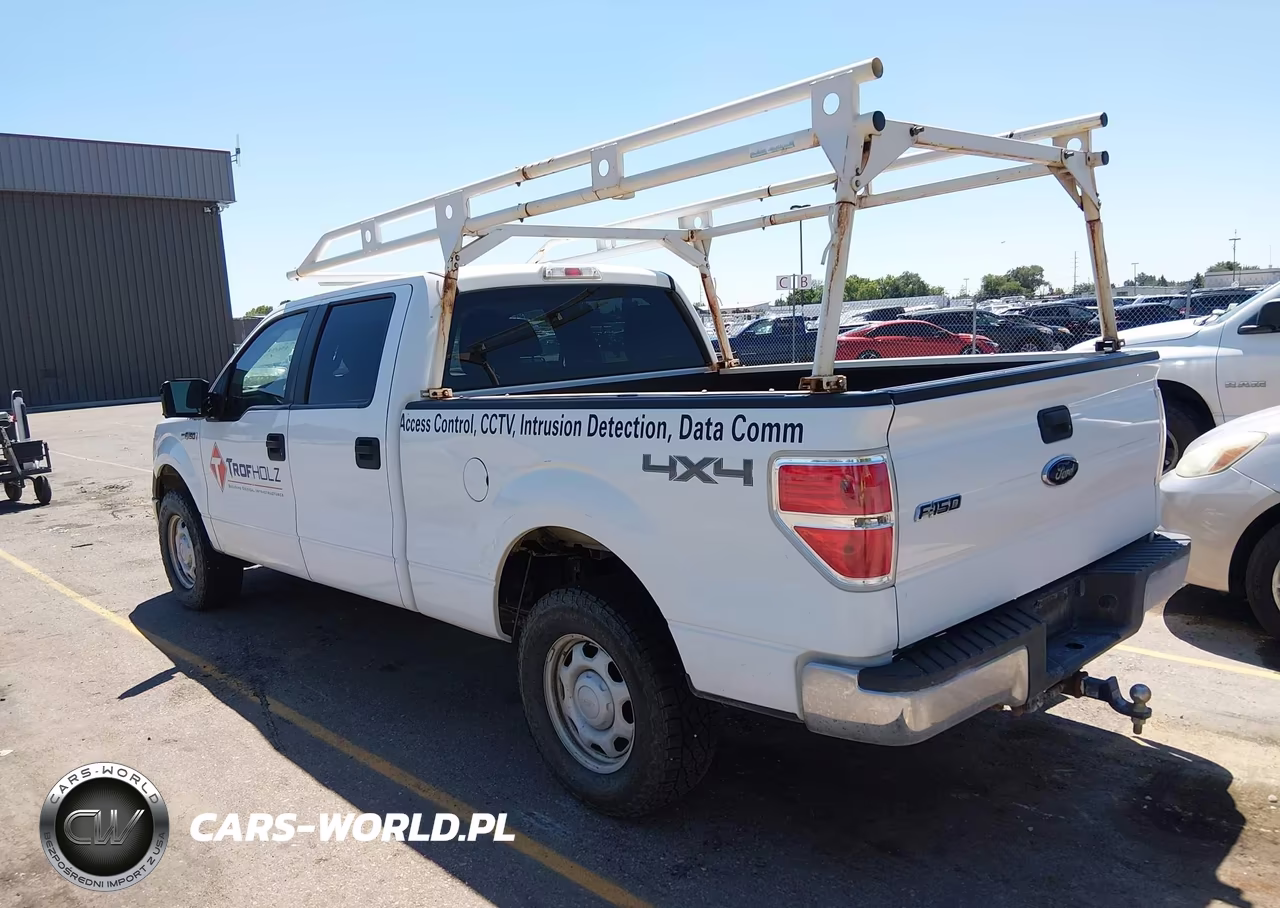 2010 Ford F-150 Xl-Xlt VIN:1FTFW1E82AFC91984 - 3