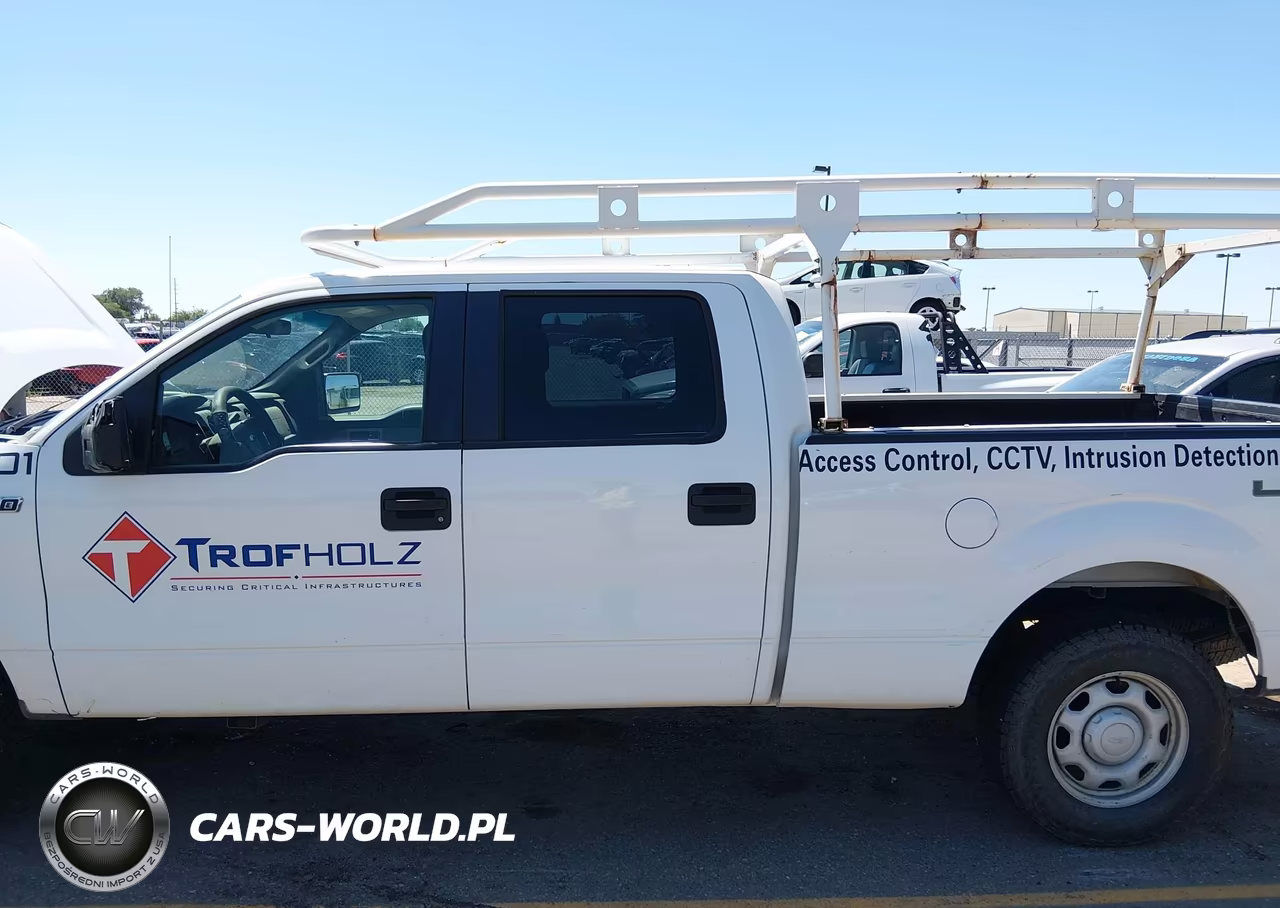 2010 Ford F-150 Xl-Xlt VIN:1FTFW1E82AFC91984 - 6