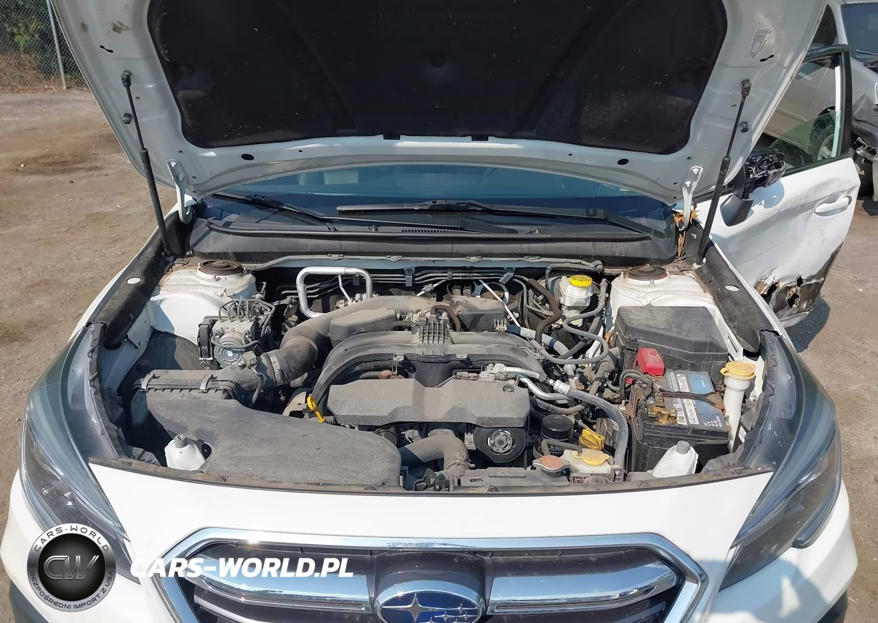 2019 Subaru Outback 2.5I Limited VIN:4S4BSANC0K3346042 - 10