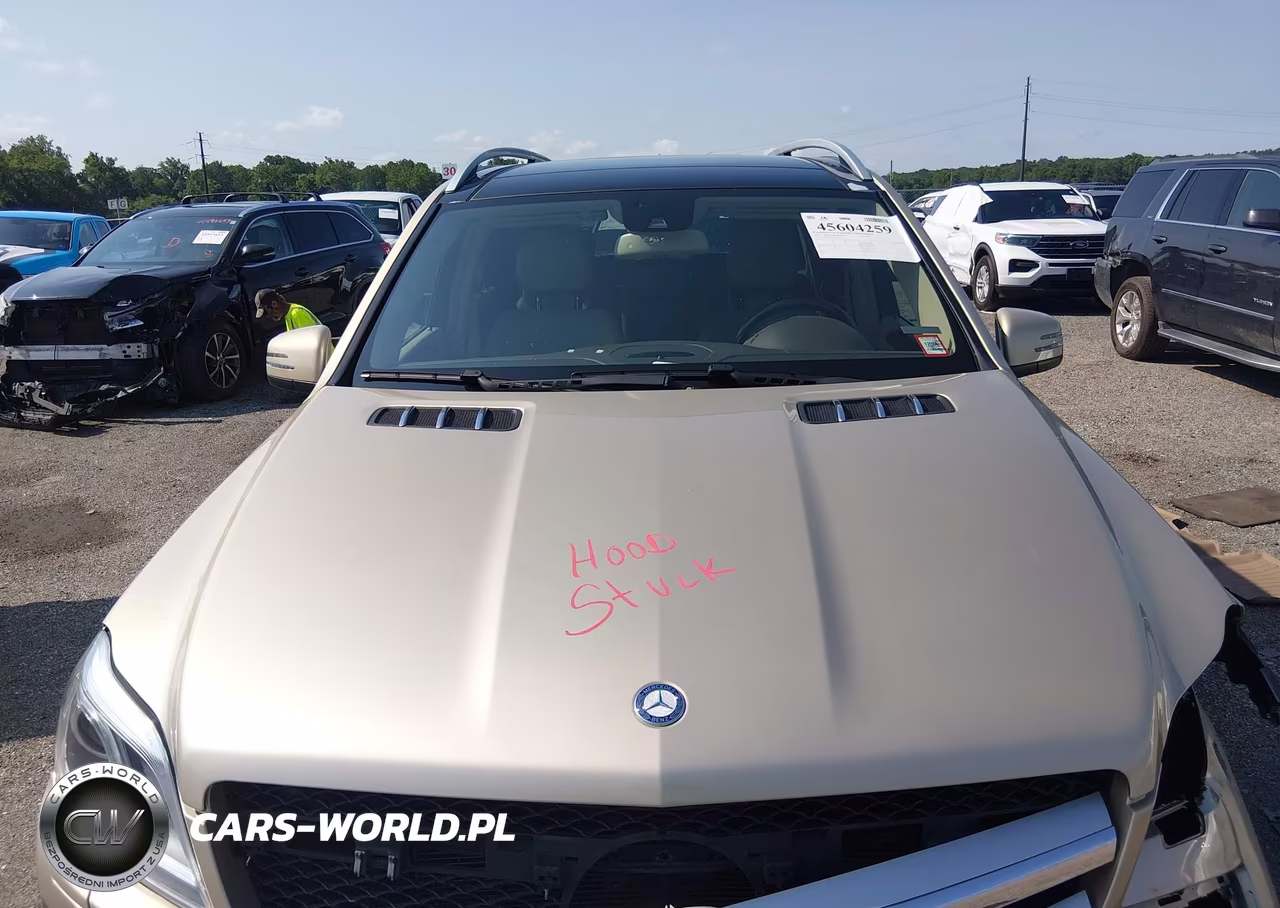 2013 Mercedes-Benz Gl 450 4Matic VIN:4JGDF7CE5DA157454 - 10