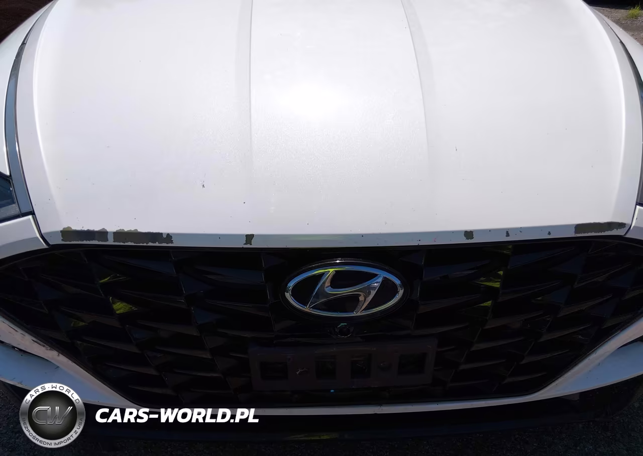 2020 Hyundai Sonata Limited VIN:5NPEH4J23LH013001 - 6
