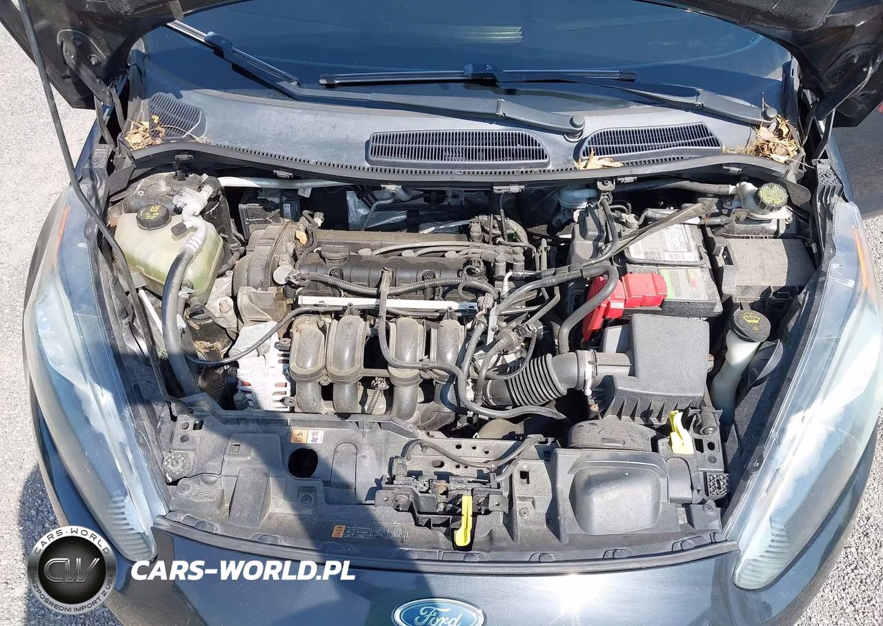 2014 Ford Fiesta Se VIN:3FADP4BJXEM211615 - 10