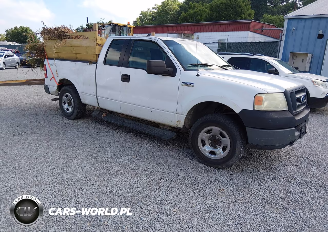 2005 Ford F-150 Stx-Xl-Xlt – zdjęcie 1 z 11