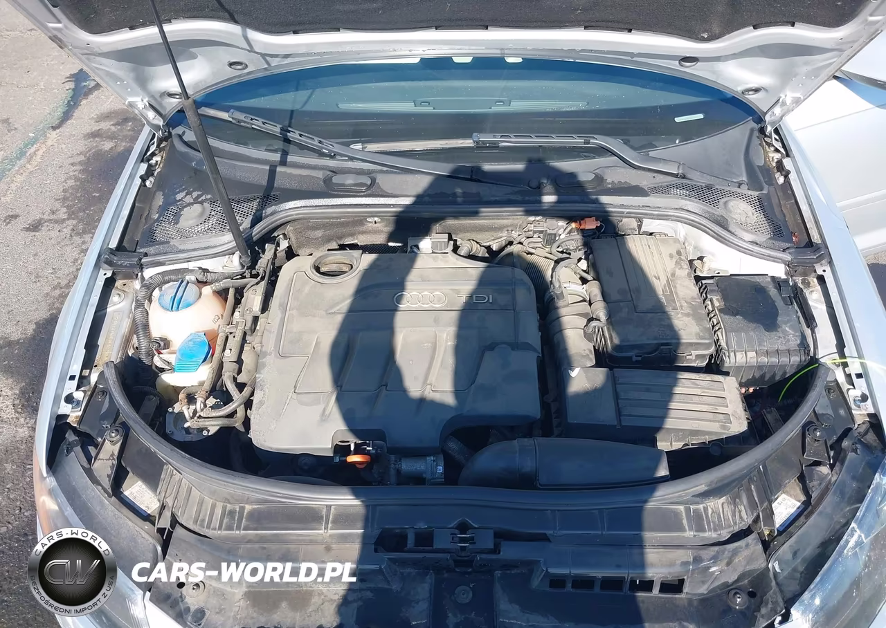 2013 Audi A3 2.0 Tdi Premium VIN:WAUKJAFM7DA015100 - 10